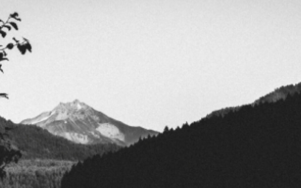 Black and white photo of a forest with mountains in the distance